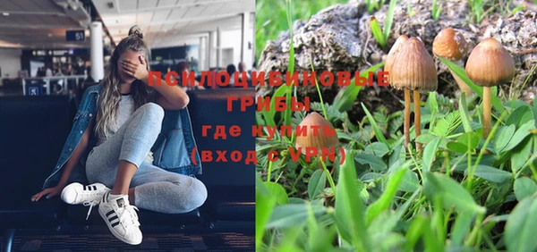 apvp Киров